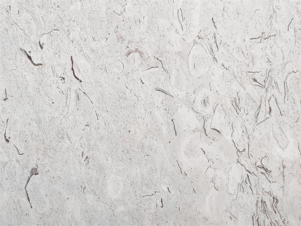 Aurisina Fiorita Limestone