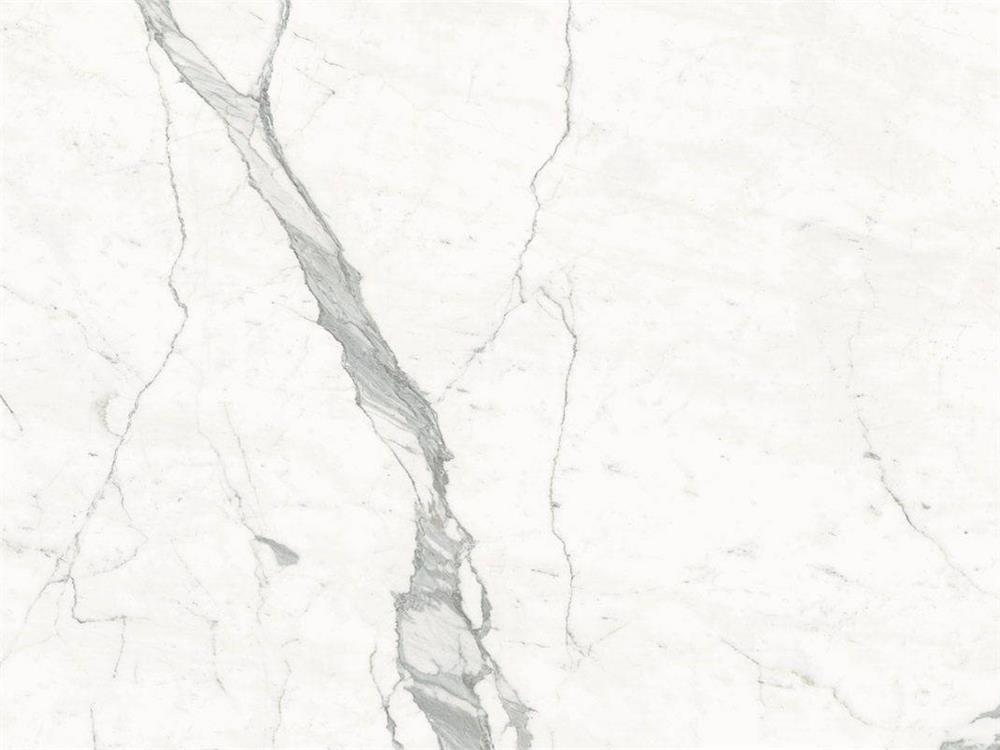 Calacatta White
