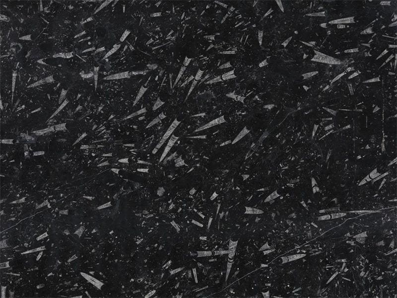 Fossil Black