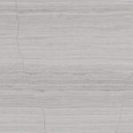 Silk Georgette