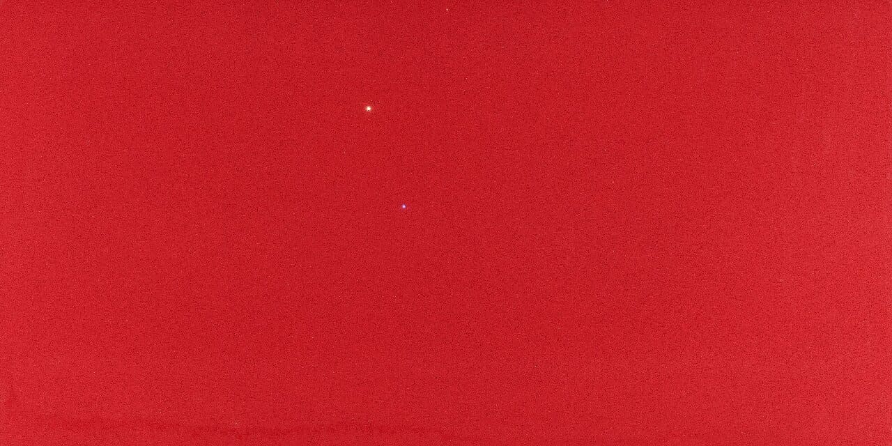 LF 1538 Electric Red